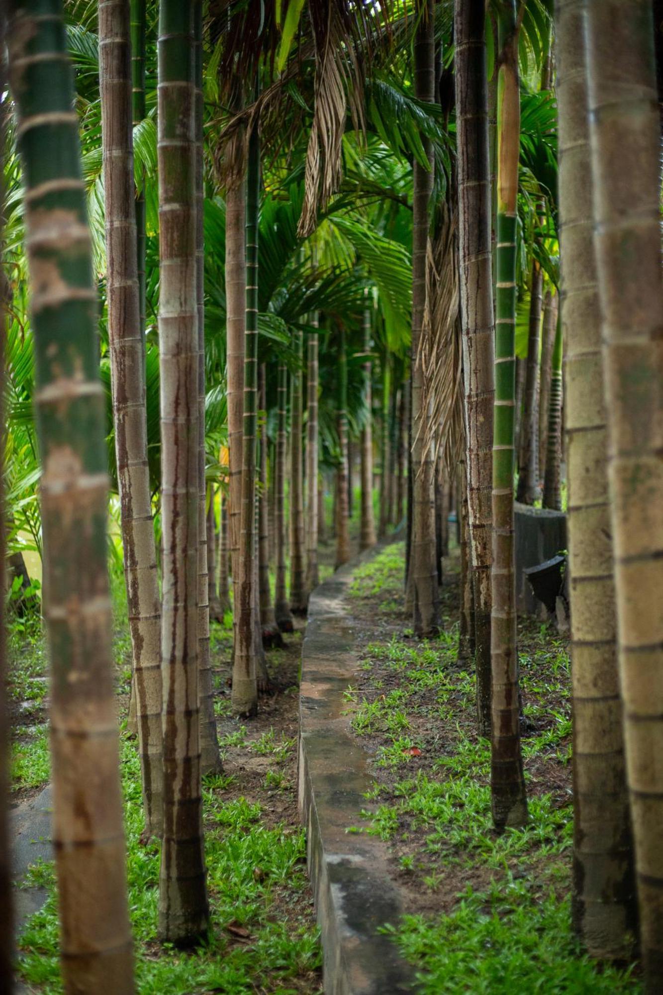 Phanumas Resort Chiang Mai Luaran gambar