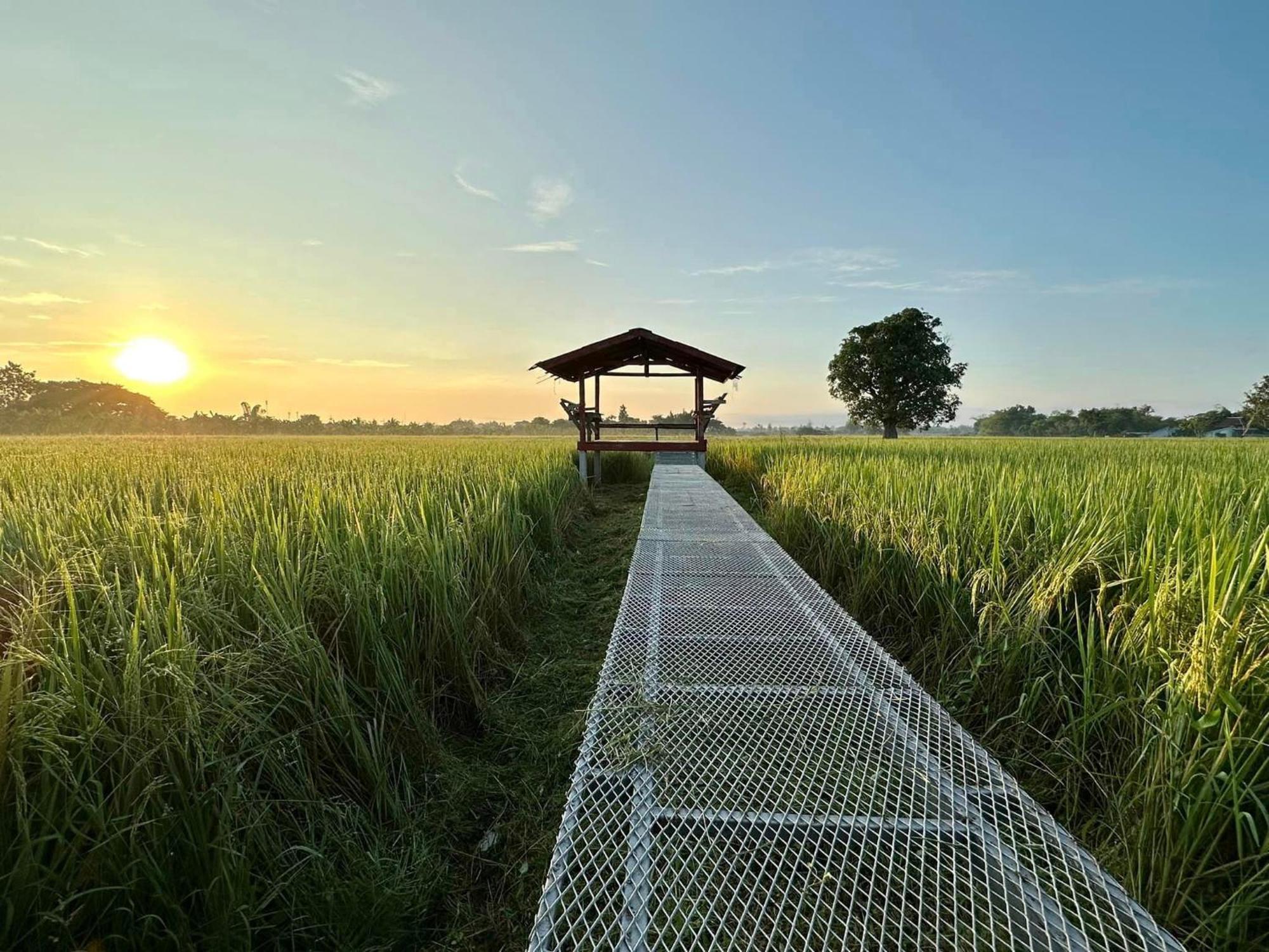 Phanumas Resort Chiang Mai Luaran gambar