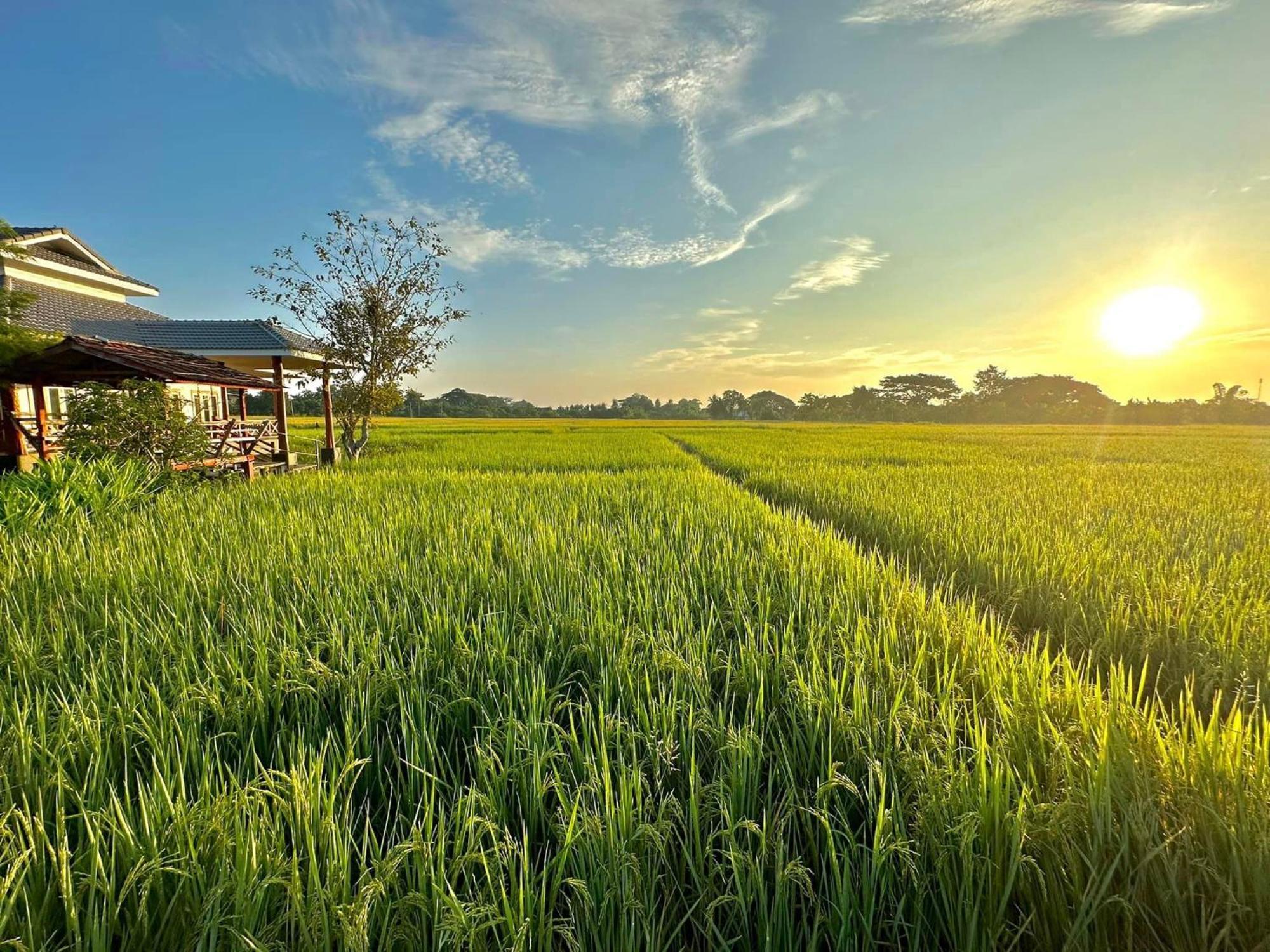 Phanumas Resort Chiang Mai Luaran gambar